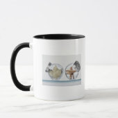 Mug Plan rapproché des herbes dans des deux pots (Gauche)