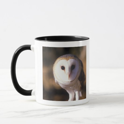 Mug 'Plan rapproché du hibou de grange, terre entre (Gauche)