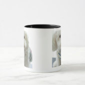 Mug Plan rapproché d'un caniche miniature (Centre)