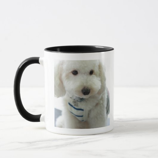 Mug Plan rapproché d'un caniche miniature (Gauche)