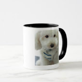 Mug Plan rapproché d'un caniche miniature (Devant droit)