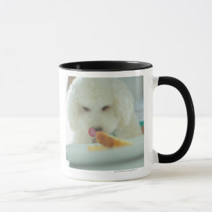 Mug Plan rapproché d'un caniche miniature mangeant de