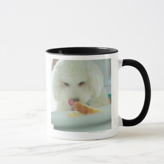 Mug Plan rapproché d'un caniche miniature mangeant de (Droite)