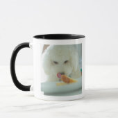 Mug Plan rapproché d'un caniche miniature mangeant de (Gauche)