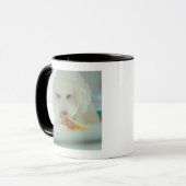 Mug Plan rapproché d'un caniche miniature mangeant de (Devant gauche)