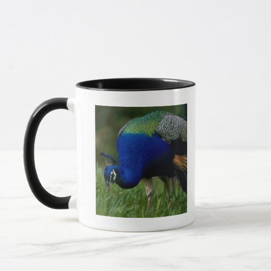 Mug Plan rapproché d'un paon (Gauche)