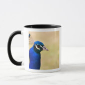 Mug Plan rapproché d'un paon 2 (Gauche)