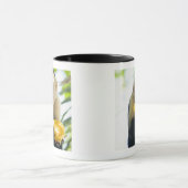 Mug Plan rapproché d'un singe de capucin mangeant d'un (Centre)