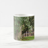 MUG PLANTATION (Centre)