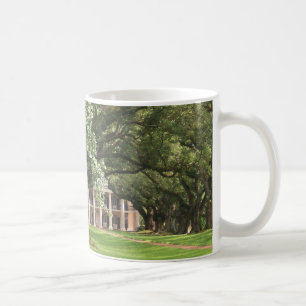 MUG PLANTATION