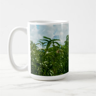 Mug Plantation de mangues Dambulla Sri Lanka Cadre mur