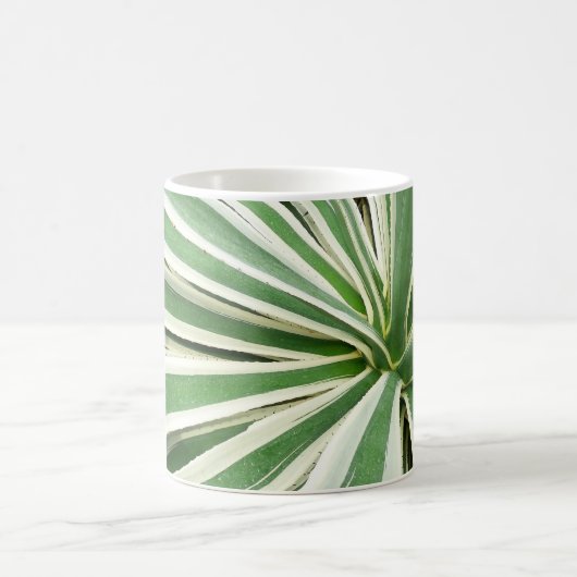 Mug Plante Agave Vert et blanc rayé (Centre)