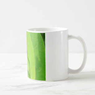 Mug plante cool