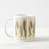 Mug Plante de blé résistant à la sécheresse, Agricultu (Gauche)