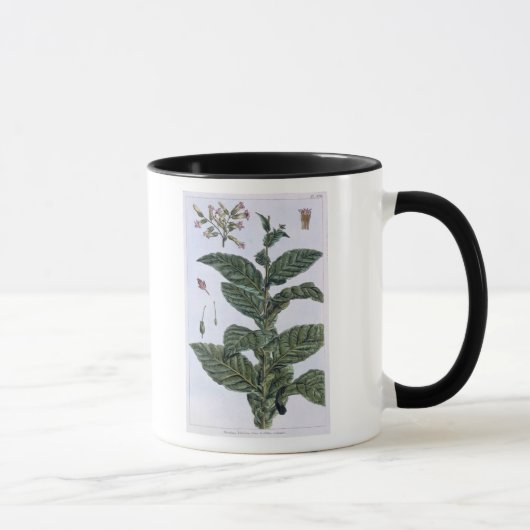 Mug Plante de tabac, plat 7, de 'collection Precieuse (Droite)