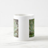 Mug Plante succulent (Centre)