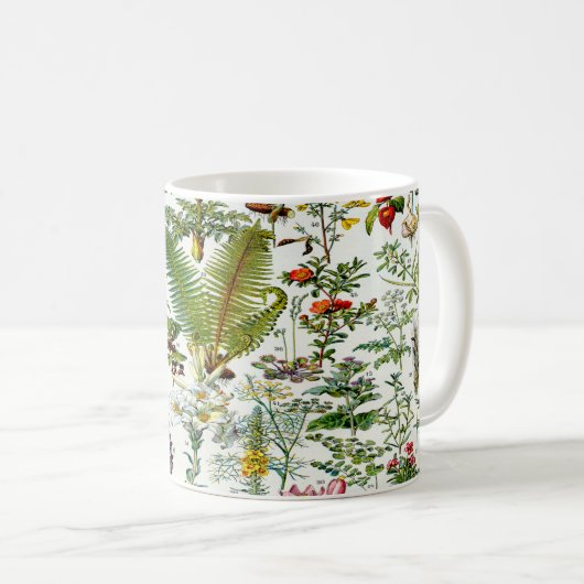 Mug Plantes médicinal (Devant droit)