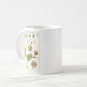 Mug Plantes parasites et carnivores (Devant gauche)