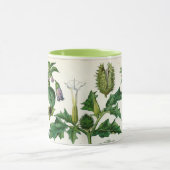 Mug Plantes toxiques (Centre)