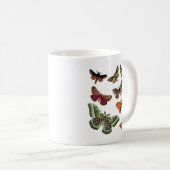 Mug Plaque 3 (Devant droit)