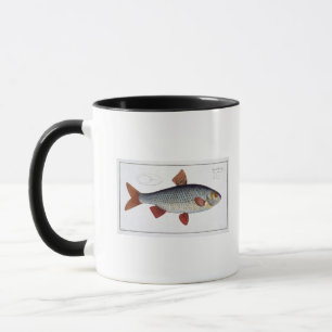 Mug Plat II de gardon (Cyprinus Rutilis) de