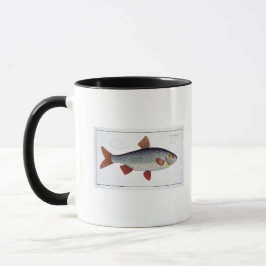 Mug Plat II de gardon (Cyprinus Rutilis) de (Gauche)