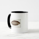Mug Plat unique XLV de Douvres (Solea Solaea) de (Devant gauche)