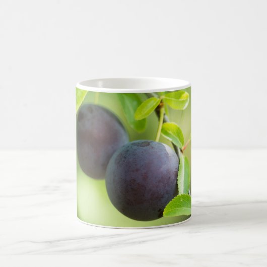 Mug Plum cerise sur branche (Centre)