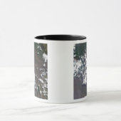 Mug Plume monte du volcan Nyiragongo en RDC (Centre)