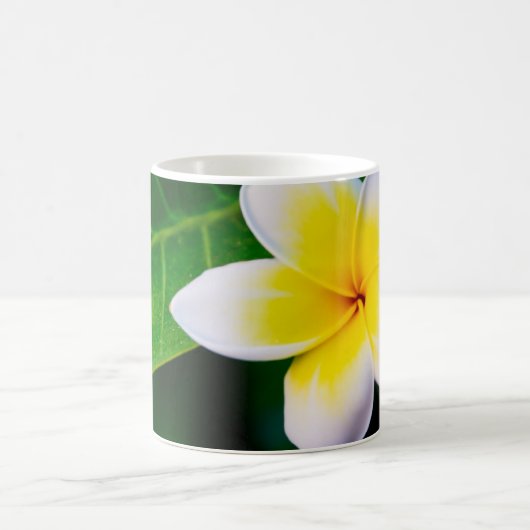 Mug plumeria (Centre)