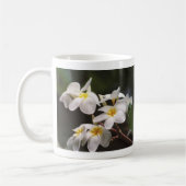 Mug plumeria (Gauche)