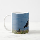 Mug Pluvier à ventre noir (Gauche)