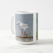 Mug Pluvier sifflant (Devant gauche)