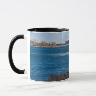 Mug point de marais à refuge de Necedah