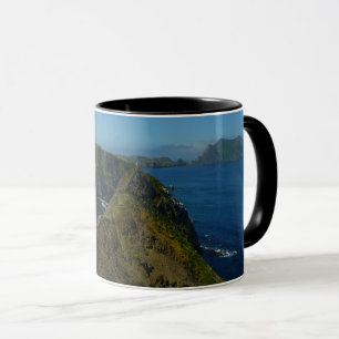 Mug Point d'inspiration I d'Anacapa aux îles Anglo-Nor