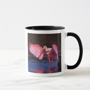 Mug Pois de rose (Ajaia ajaja) avec Cormorant