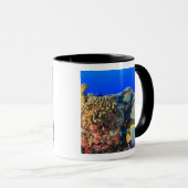 Mug Poisson-ange royal Pygoplites diacanthus), (Devant droit)