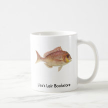 Poisson - Brise rouge - Chryosophrys guttuatus Pro