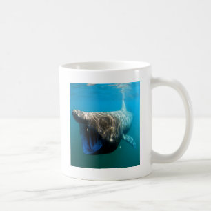 Mug Poisson de requin Océan tropical Destin Cadeaux