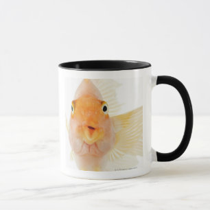 Mug Poisson d'eau douce tropical