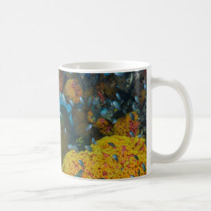 Mug Poisson parmi récif corallien