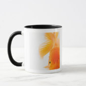 Mug Poisson rouge orange de lionhead (auratus de (Gauche)
