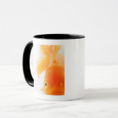 Mug Poisson rouge orange de lionhead (auratus de (Devant gauche)