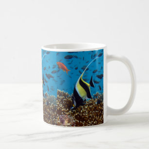 Mug Poisson tropical