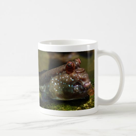 Mug Poissons amphibies Oxudercinae de Mudskipper (Droite)