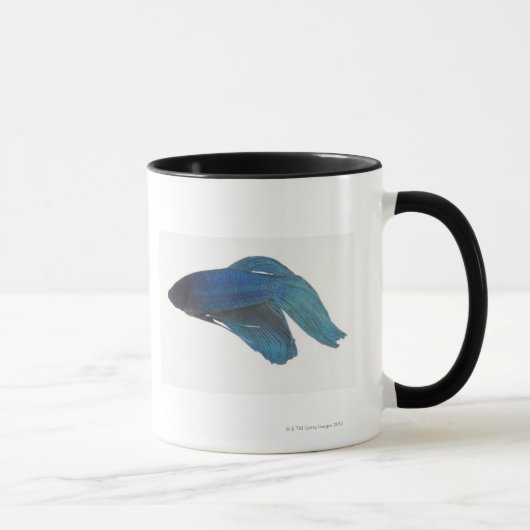 Mug Poissons de Betta ou poissons de combat siamois (Droite)
