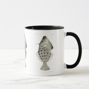 Mug Poissons vintages de NZ de la Science -