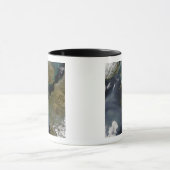 Mug Pollution en France (Centre)