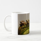 Mug Polypédates Leucomystax (Gauche)