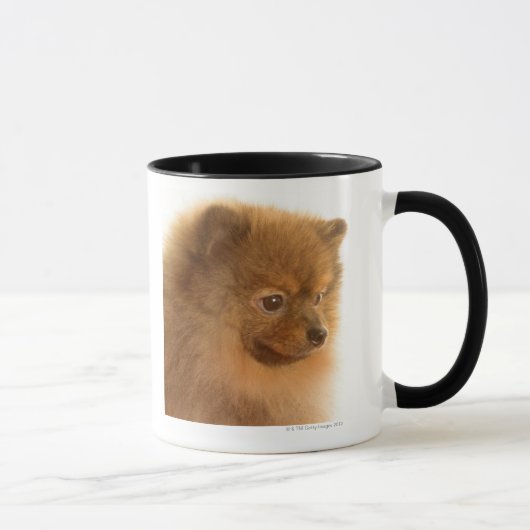 Mug Pomeranian (Droite)